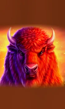 Buffalo 50